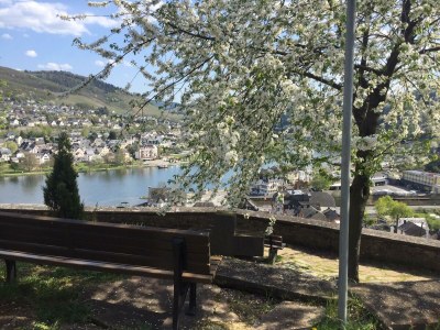 Apartment Ferienwohnung, Dusche, WC, Flussblick - Features photo 35