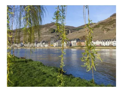 Apartment Weingarten, Brandenburg - Outdoor photo 24