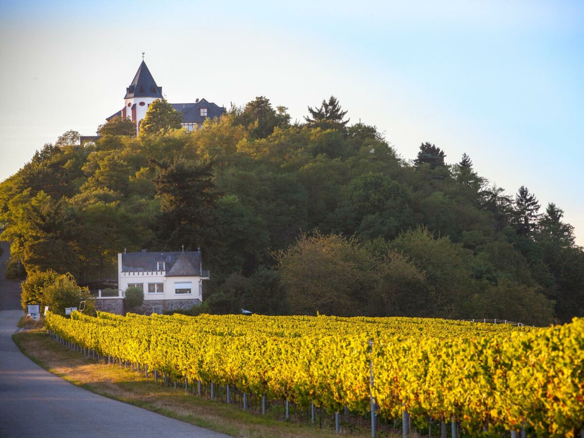 Apartment Reblaus, Brandenburg