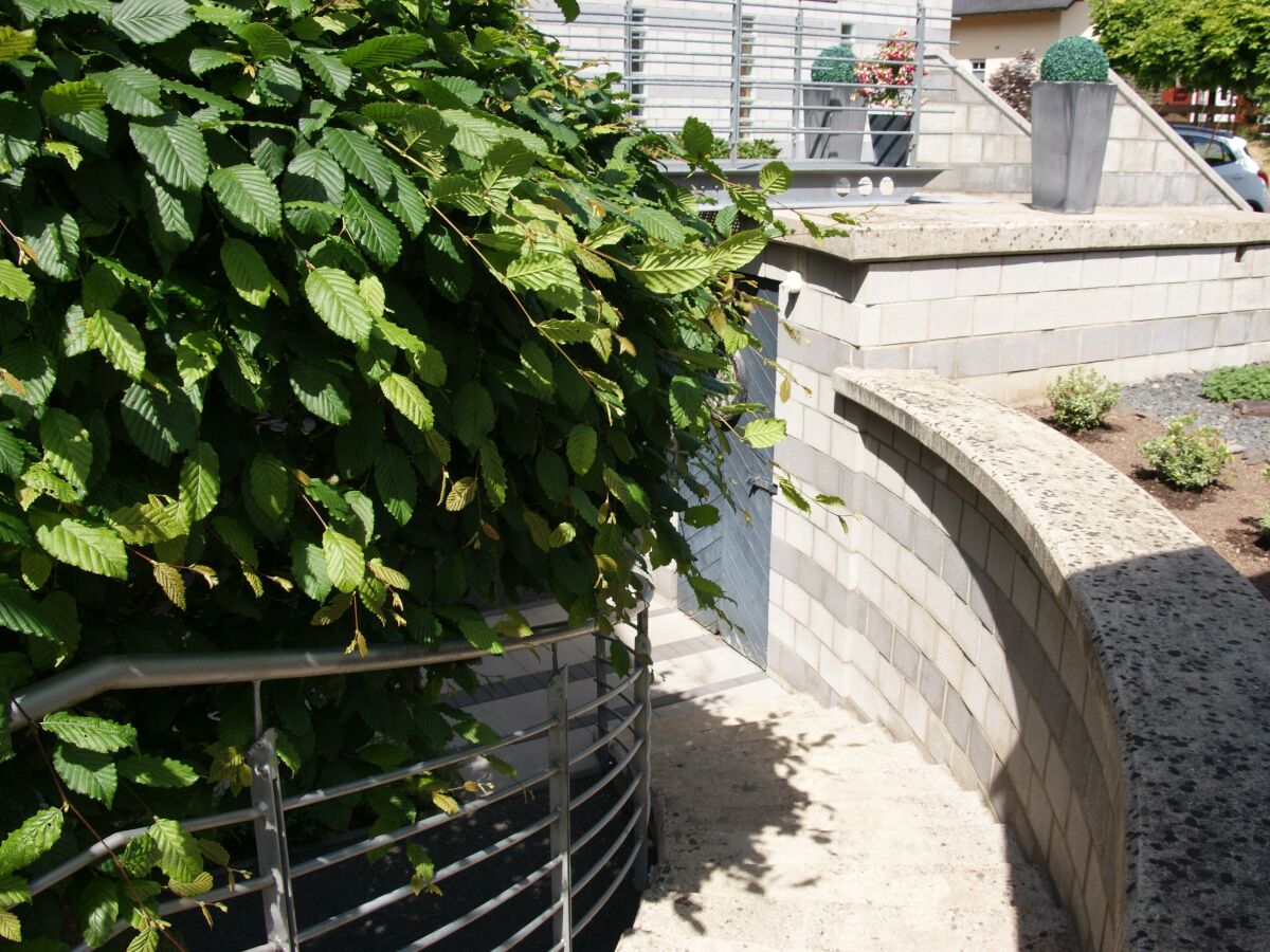 Apartment Ferienwohnung "Sternenwald" - Outdoor photo 5