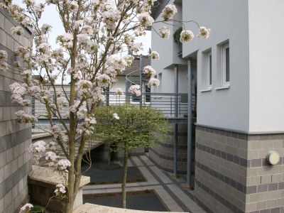 Apartment Ferienwohnung "Sternenwald" - Outdoor photo 7