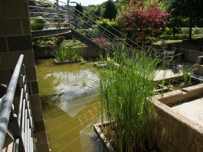 Apartment Ferienwohnung "Sternenwald" - Outdoor photo 10