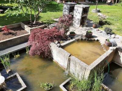 Apartment Ferienwohnung "Sternenwald" - Outdoor photo 12