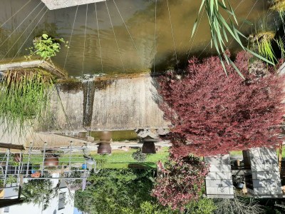 Apartment Ferienwohnung "Sternenwald" - Outdoor photo 13