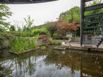 Apartment Ferienwohnung "Sternenwald" - Outdoor photo 14