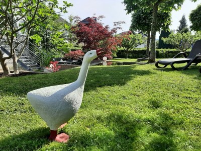 Apartment Ferienwohnung "Sternenwald" - Outdoor photo 21