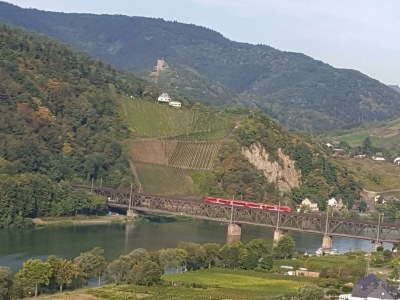 Apartment Ferienwohnung "Sternenwald" - Outdoor photo 28