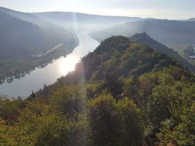 Apartment Ferienwohnung "Sternenwald" - Outdoor photo 29