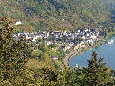 Apartment Ferienwohnung "Sternenwald" - Outdoor photo 32