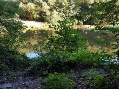 Apartment Ferienwohnung "Sternenwald" - Outdoor photo 38