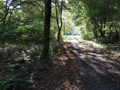 Apartment Ferienwohnung "Sternenwald" - Outdoor photo 41