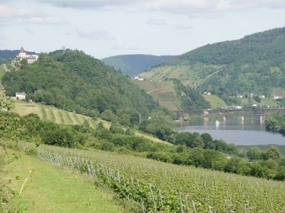 Apartment Ferienwohnung "Sternenwald" - Outdoor photo 47