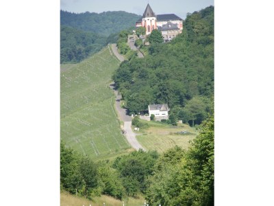 Apartment Ferienwohnung "Sternenwald" - Outdoor photo 48