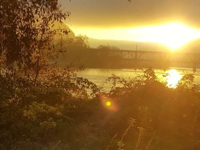 Apartment Ferienwohnung "Sternenwald" - Outdoor photo 50