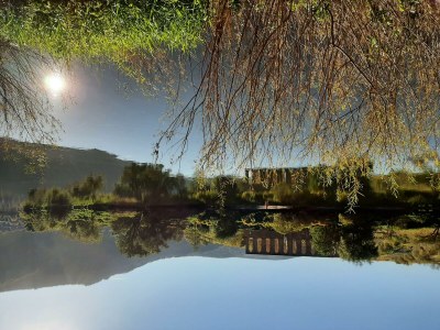 Apartment Ferienwohnung "Sternenwald" - Outdoor photo 51