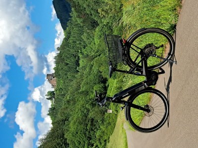 Apartment Ferienwohnung "Sternenwald" - Outdoor photo 65