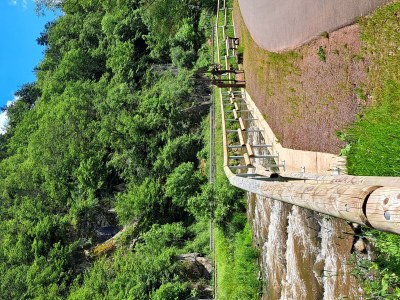 Apartment Ferienwohnung "Sternenwald" - Outdoor photo 68