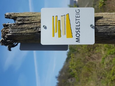 Apartment Ferienwohnung "Sternenwald" - Outdoor photo 70