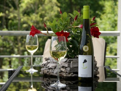 Apartment Ferienwohnung "Sternenwald" - Features photo 78