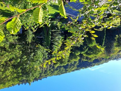 Apartment Ferienwohnung "Sternenwald" - Features photo 89