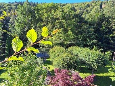 Apartment Ferienwohnung "Sternenwald" - Features photo 90