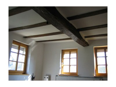 Apartment Ferienhaus, Dusche, WC, Nichtraucher in Peterswald-Löffelscheid - Apartment