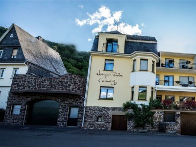 Apartment 2-Bettwohnung in Briedel - Apartment