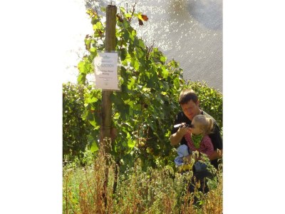 Apartment 2-Bettwohnung - Outdoor photo 12