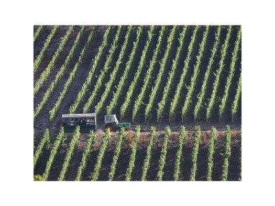 Apartment 2-Bettwohnung - Outdoor photo 13