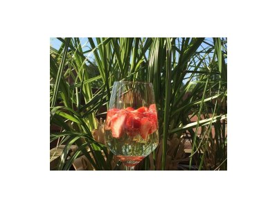 Apartment 2-Bettwohnung - Outdoor photo 14