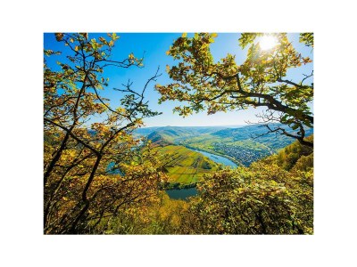 Apartment 2-Bettwohnung - Outdoor photo 15