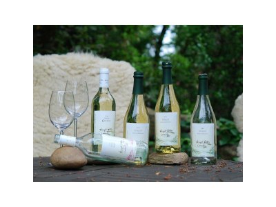 Apartment 2-Bettwohnung - Outdoor photo 16