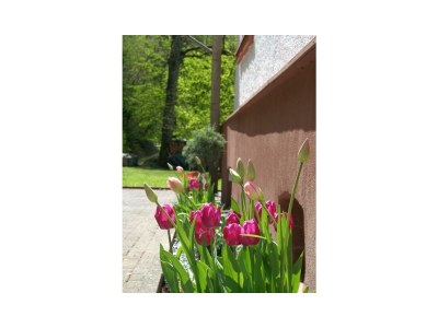 Apartment Appartement 3 - Outdoor photo 6