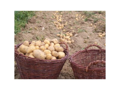 Apartment Ferienwohnung Schosterliese - Outdoor photo 5