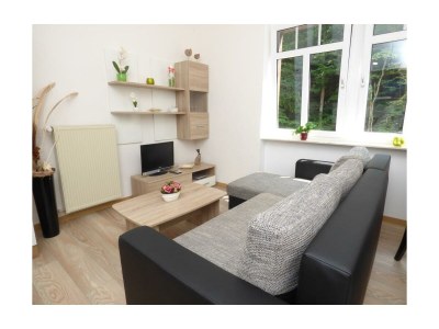 Apartment Appartement 1 Schlafzimmer - Features photo 8