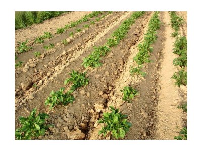 Apartment Ferienwohnung Wiesenrech - Outdoor photo 6