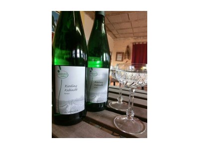 Apartment Ferienwohnung Wiesenrech - Outdoor photo 7