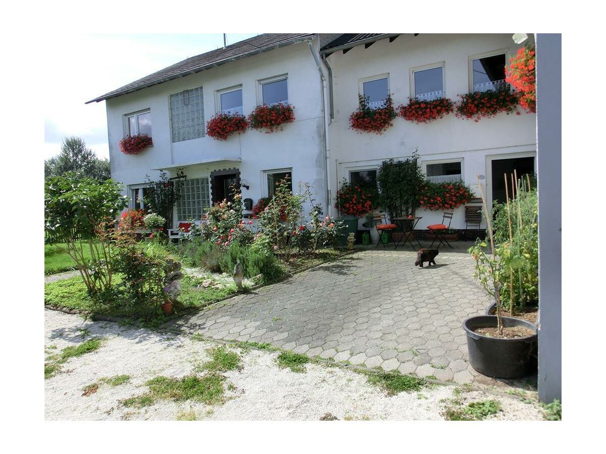 Apartment Ferienwohnung Birwesheck - Outdoor photo 4