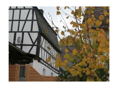 Apartment Ferienhaus Sosberg - Outdoor photo 6