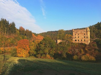 Apartment Ferienhaus Sosberg - Outdoor photo 13