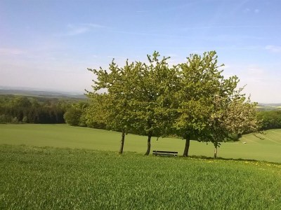 Apartment Ferienhaus Sosberg - Outdoor photo 16