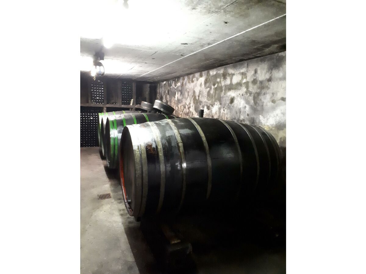 Apartment 4-Bettwohnung/Haus - Outdoor photo 4