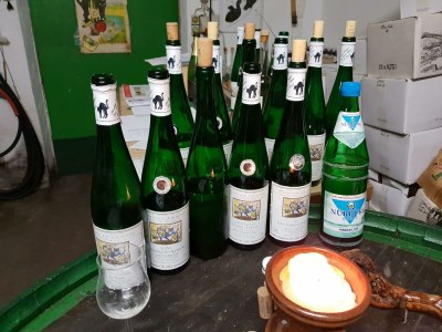 Apartment 4-Bettwohnung/Haus - Outdoor photo 13