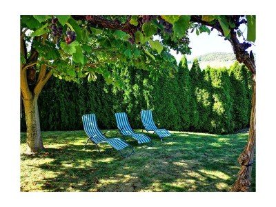 Apartment 4-Bettwohnung, Runder Turm - Outdoor photo 3