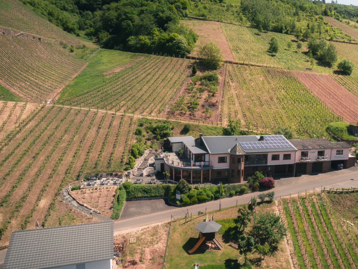 Apartment 4-Bettwohnung, "Riesling" - Outdoor photo 4