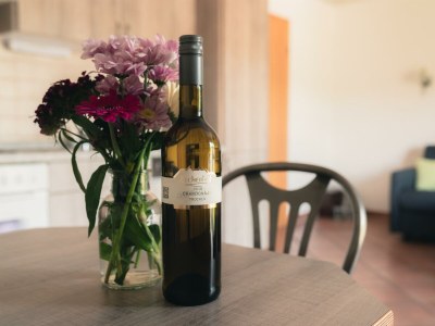 Apartment 4-Bettwohnung, "Chardonnay" - Features photo 16