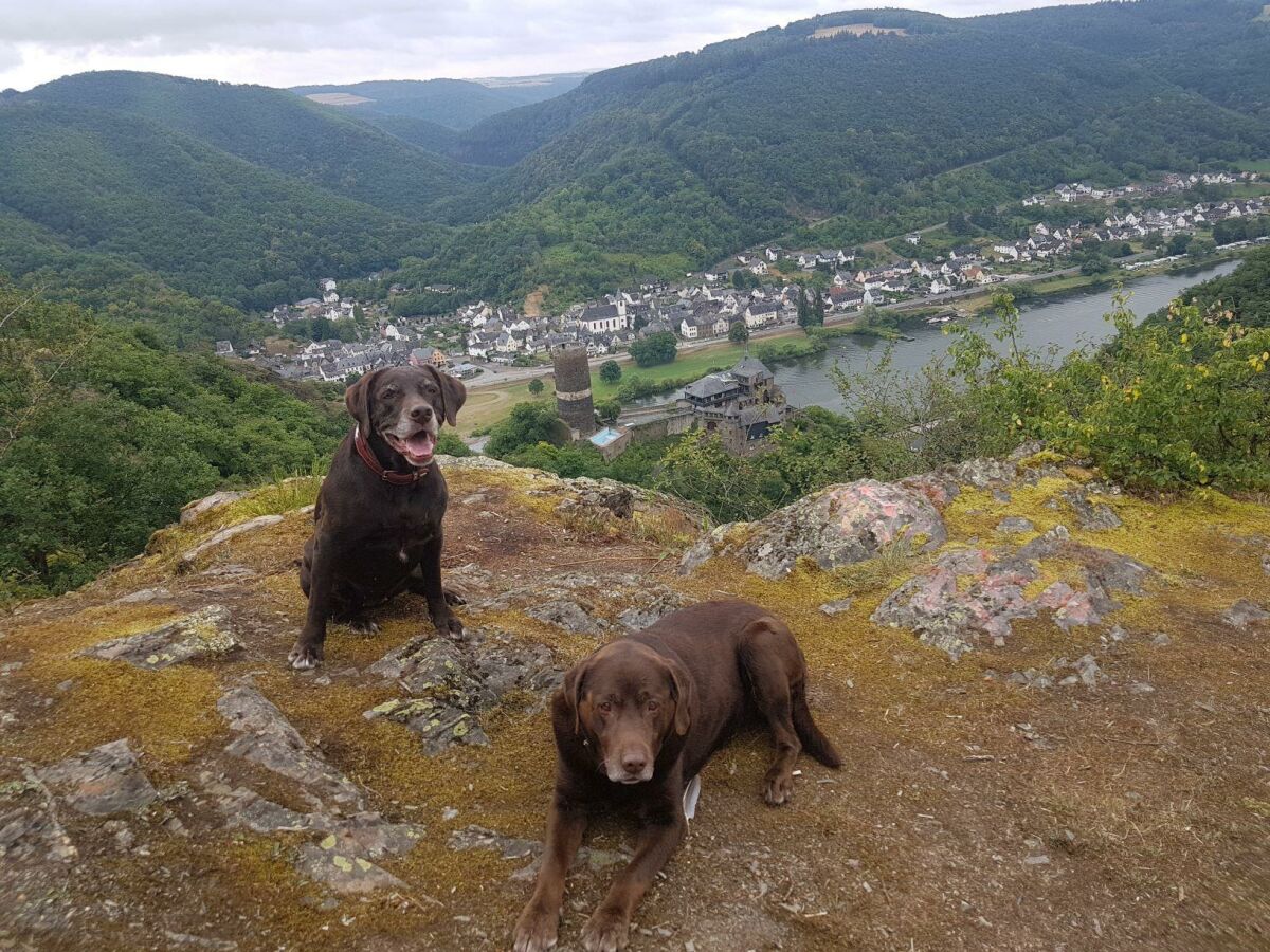 Apartment Ferienwohnung Leopold & Schokominza - Outdoor photo 4