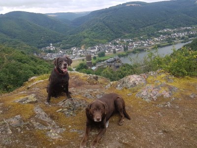 Apartment Ferienwohnung Leopold & Schokominza - Outdoor photo 4