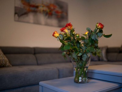 Apartment Ferienwohnung Leopold & Schokominza - Outdoor photo 23