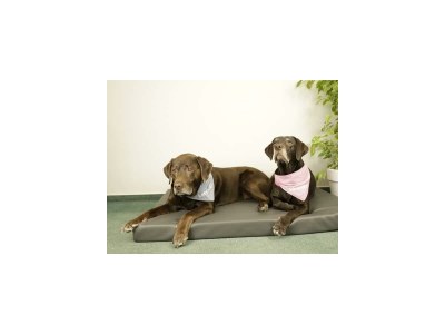 Apartment Ferienwohnung Leopold & Schokominza - Features photo 47